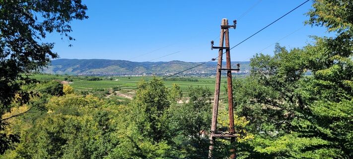 Foto van Nicky langs de tour