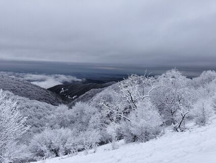 Foto de Daniele Berini a lo largo del recorrido