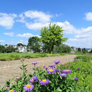 Kurpark