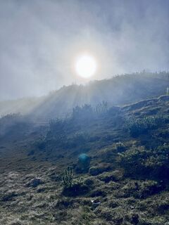 Foto von BerndPrillhofer entlang der Tour