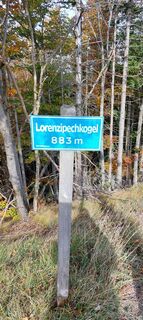 Foto von Waldfred entlang der Tour