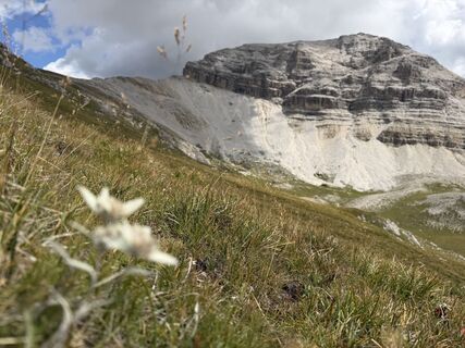 Foto von SuSanhappy entlang der Tour