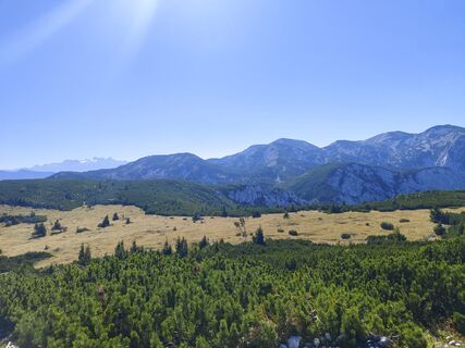 Photo de flexl-e le long du parcours
