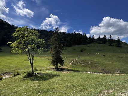 Foto de Friederike Steyrer a lo largo del recorrido