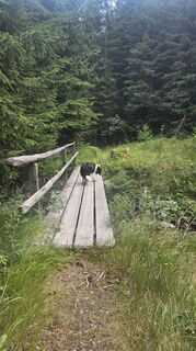 Foto von Francesco Höllbacher entlang der Tour