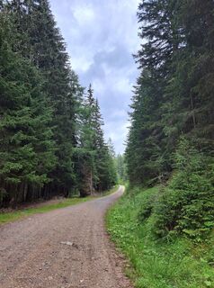 Foto von Anita Schned entlang der Tour