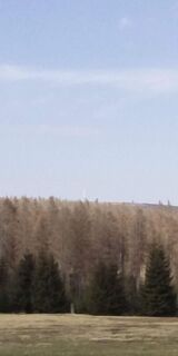 Der Brocken lugt hervor