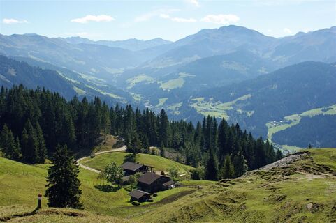 Wildscönau Oberau Kragenjoch Sommer.jpg