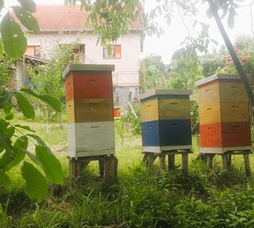 Bienenstöcke, Vukanja