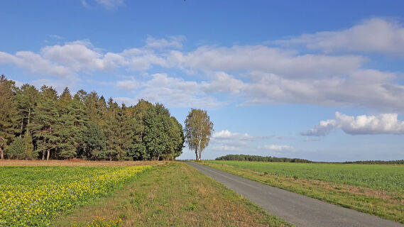 Landwirtschaftliche Wege der SteinErlebnisRoute 3