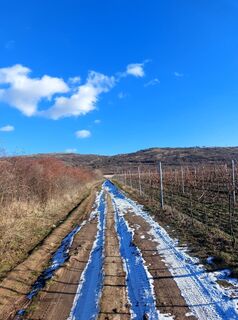 Photo de Daria Kaverina le long du parcours