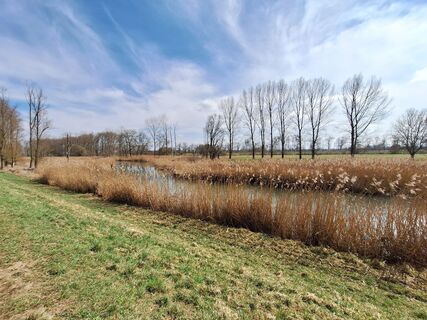 Foto von Hermann E. entlang der Tour
