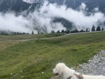 Foto von Bene Schadel entlang der Tour