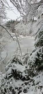 Photo de Mj le long du parcours