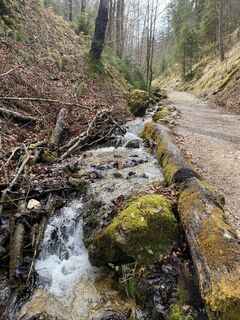 Photo de Sven Krieblin le long du parcours