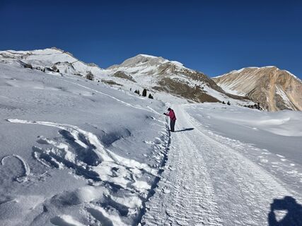 Zdjęcie z euterpe42 wzdłuż trasy