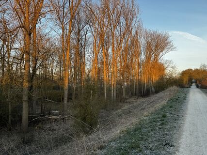 Donauwörth Gehen am morgen bei Sonnenaufgang