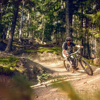Biker auf dem Mayentset-Bike oberhalb von Conthey