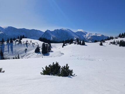 Aussicht zum Ringkamp und Hochschwab