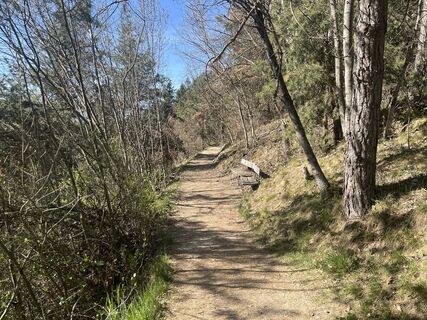 Fotografija s spletne strani Stefano “Iddo” na poti
