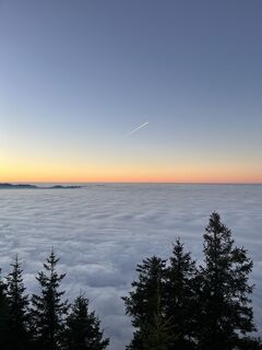 Fotografija s spletne strani Aurelian Böhler na poti