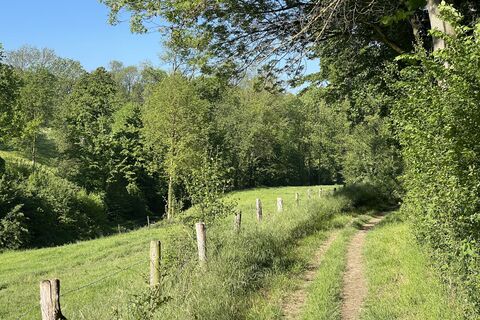 Foto von Gloop entlang der Tour