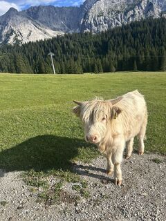 Foto von Jacob B entlang der Tour
