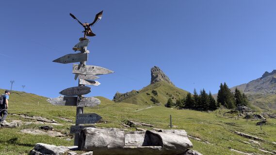 Photo de Peter Burki le long du parcours