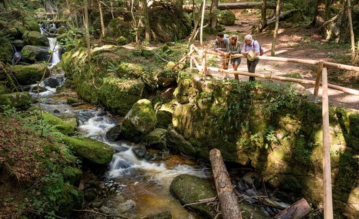 Ysperklamm