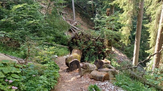 Photo de Christian L. le long du parcours