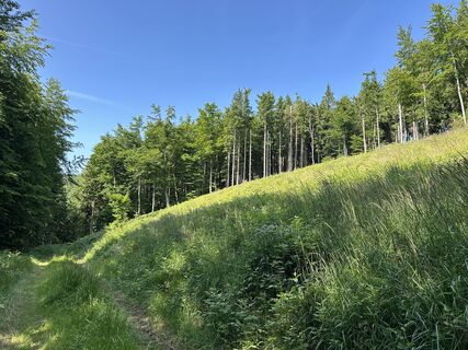 Foto von justasimpleguy entlang der Tour