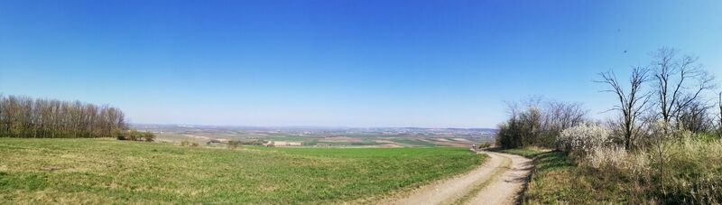 Galgenberg Panoramablick