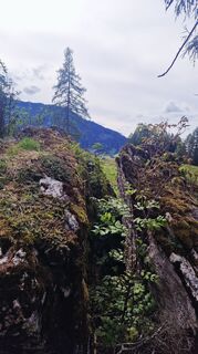 Foto von Isabella Schwaiger-Moser entlang der Tour