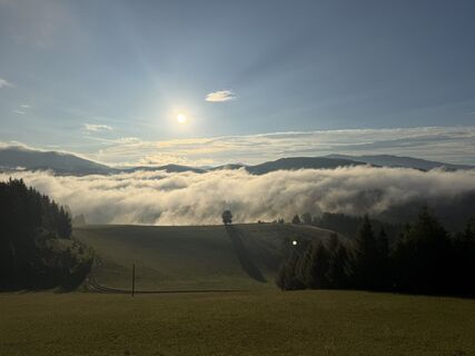 Foto von Gerti Glettler entlang der Tour