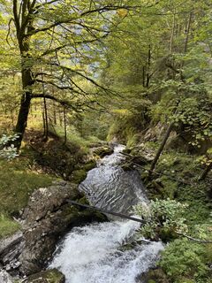 Foto von A Stadler entlang der Tour