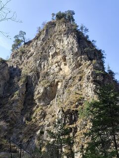 Foto von Margit Leitner 1 entlang der Tour