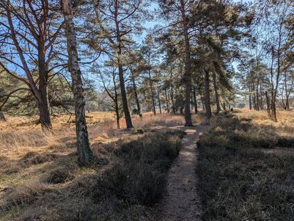 Photo de Matje Derks le long du parcours
