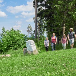 An der Hahnenfalzhütte folgen wir dem Brudesweg in Richtung Gaistal.