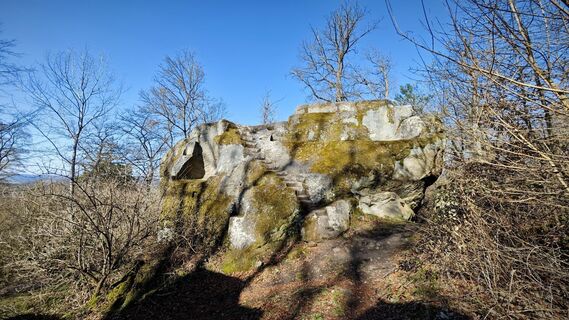 Fotografia z Alexander S na trase