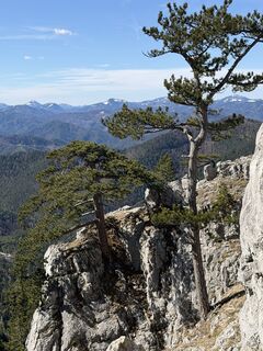 Fotografija s spletne strani Kate Rusakova na poti