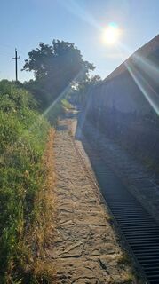 Fotografia z Kurt Benes na trase