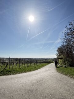 Fotografija s spletne strani Roman Mödlhammer na poti