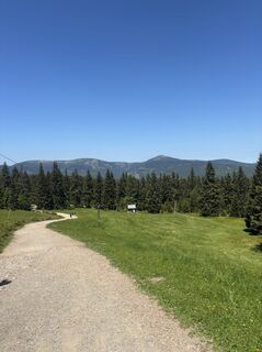 Fotografia z Martin 39 na trase