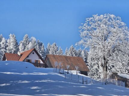 Foto von Franz Russ entlang der Tour