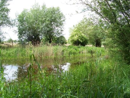 Naturschutz- &amp; Naherholungsgebiet Muckenbruch