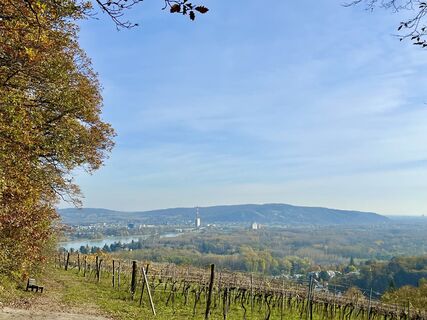 Fotografia z Petrita na trase