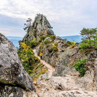 Vogelbergsteig Dürnstein Wachau