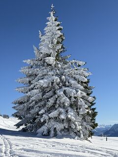 Photo de Heinz Sperl le long du parcours