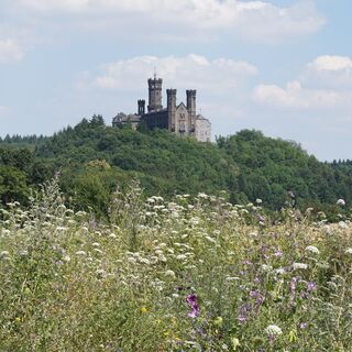 Blick auf die Schaumburg