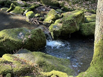 Foto da Michael Erdmann lungo il tour